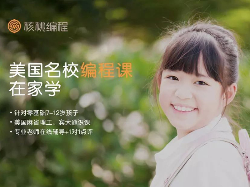 核桃少儿编程