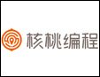 核桃少儿编程